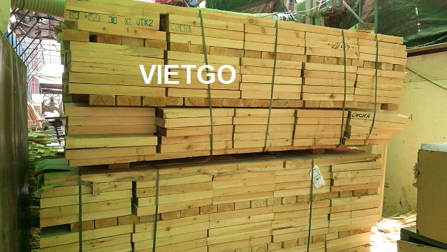Khách hàng người Ai Cập đang cần mua 1 container 40ft gỗ thông xẻ