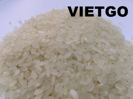 Cơ hội xuất khẩu 250 tấn gạo Japonica mỗi tháng sang Ai Cập