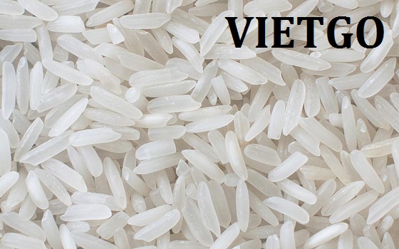 Cơ hội xuất khẩu 5 container 20ft gạo đến từ thương nhân người Úc