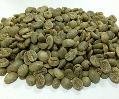 Cơ hội xuất khẩu 1 container 20ft  cà phê sang thị trường Ukraina