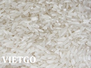 Cơ hội xuất khẩu 800 đến 1000 tấn gạo mỗi tháng sang thị trường Slovakia