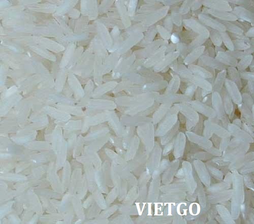 Cơ hội xuất khẩu 300 tấn gạo đến từ vị khách hàng người Tunisia