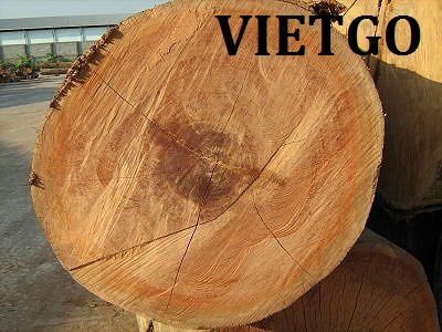 Vị khách quen của VIETGO đang cần nhập khẩu 1.000 đến 2.000 tấn GỖ DẦU TRÒN mỗi tháng