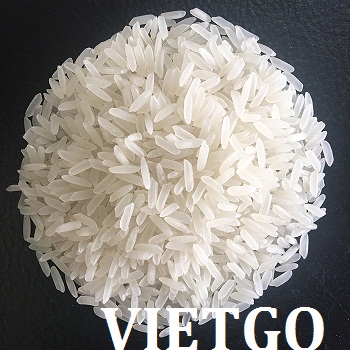 Cơ hội xuất khẩu 250.000 tấn gạo sang thị trường Ai Cập