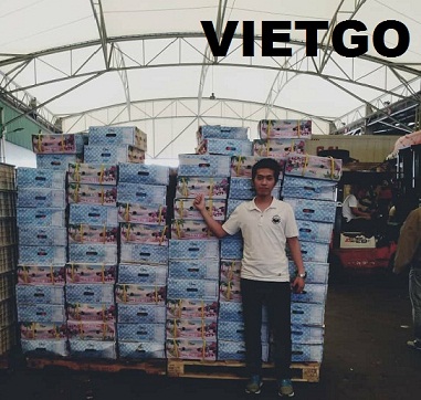 Cơ hội xuất khẩu mỗi tuần 3 đến 10 container 40ft chuối tiêu xanh đến từ vị khách VIP của VIETGO