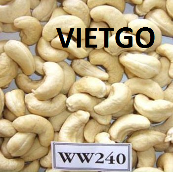 Cơ hội xuất khẩu 16 tấn hạt điều WW240 sang thị trường Ai Cập