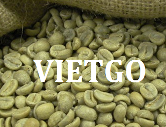 Cơ hội xuất khẩu 1 container 20ft cà phê rang xanh Arabica đến từ vị khách hàng đặc biệt tại Việt Nam