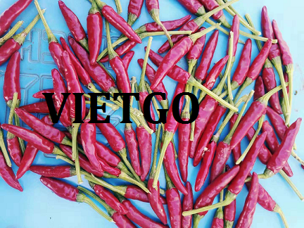 ​Cơ hội xuất khẩu 30-50 tấn ớt khô sang thị trường Trung Quốc