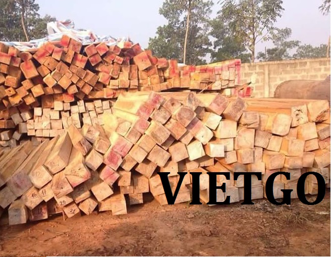 Cơ hội xuất khẩu gỗ Teak đến một khách hàng Băngladesh của VIETGO