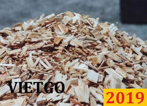 Đơn hàng cả năm: Cơ hội xuất khẩu gỗ vụn sang thị trường Hy Lạp