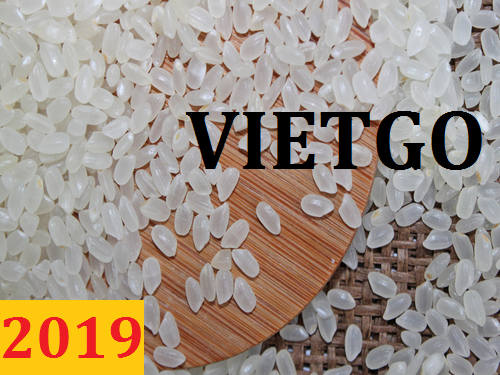 Đơn hàng cả năm: Cơ hội xuất khẩu gạo đến một khách hàng người Pakistan của VIETGO