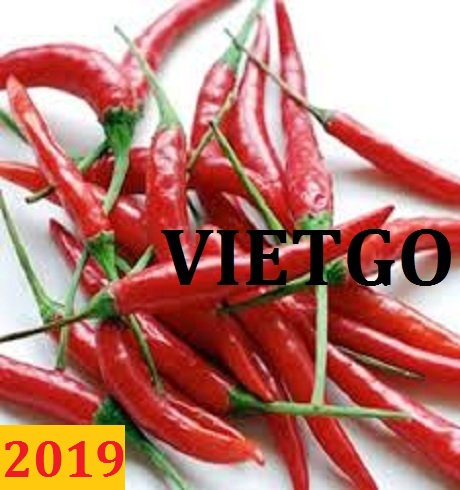 Đơn hàng cả năm: Cơ hội xuất khẩu ớt đến một khách hàng người Hong Kong của VIETGO