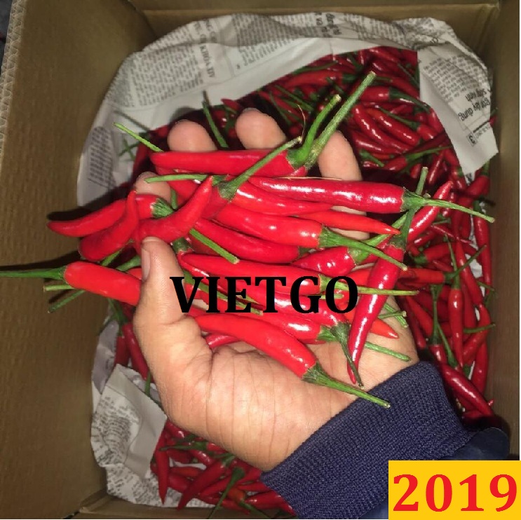 (ĐƠN HÀNG CẬP NHẬT) Đơn hàng cả năm: Cơ hội xuất khẩu ớt đến vị khách hàng VIP của VIETGO