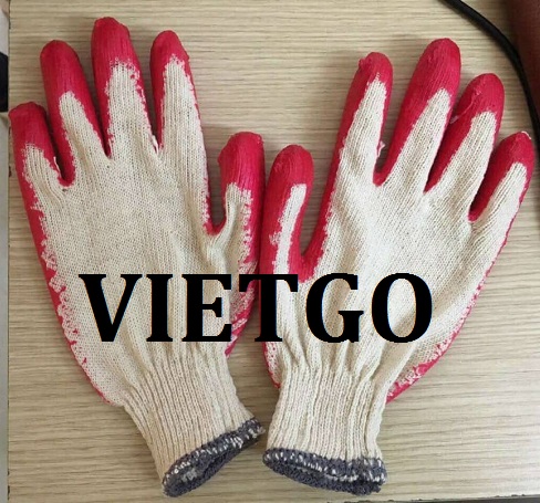 Vị thương nhân người Trung Quốc cần nhập khẩu Găng tay lao động từ Việt Nam