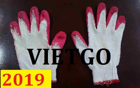 Thương nhân người Ba Lan cần nhập khẩu găng tay từ Việt Nam