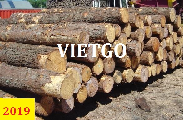 (Cập nhập lần 1) Cơ hội giao thương CẢ NĂM - Đơn hàng xuất khẩu gỗ thông tròn sang Sri Lanka