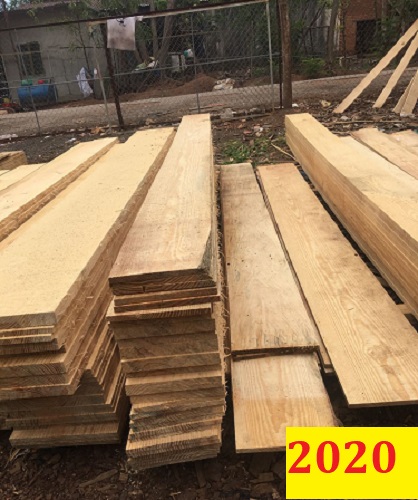 Cơ hội giao thương ĐẶC BIỆT– Đơn hàng thường xuyên - Đơn hàng xuất khẩu 200m3 gỗ thông xẻ sang Bangladesh