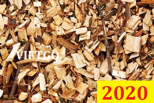 Cơ hội giao thương ĐẶC BIỆT - Đơn hàng thường xuyên - Cơ hội xuất khẩu 1000-4000 tấn gỗ vụn tạp mỗi tháng sang Nhật Bản