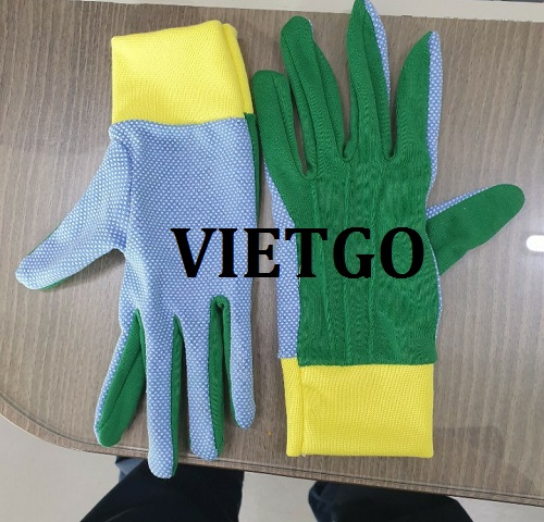 Cơ hội giao thương - Cơ hội xuất khẩu găng tay vải sang thị trường Hàn Quốc
