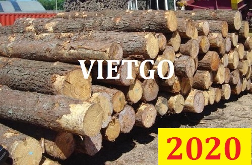 Cơ hội giao thương ĐẶC BIỆT - Đơn hàng thường xuyên - Cơ hội xuất khẩu gỗ thông tròn sang Ấn Độ