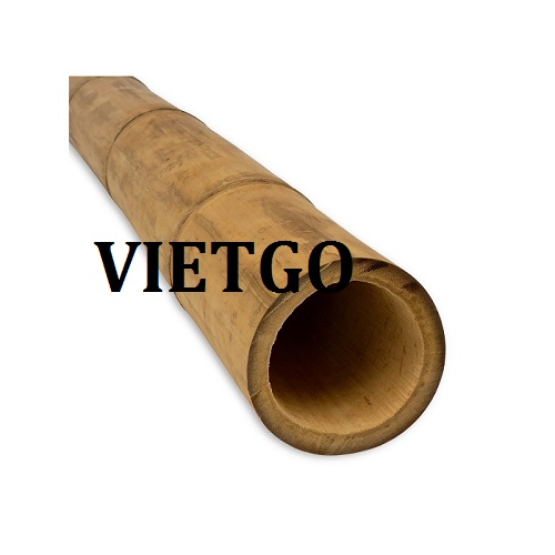 Cơ hội giao thương – Cơ hội xuất khẩu gậy tre sang thị trường Carbo Verde