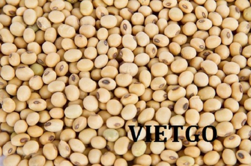 Cơ hội giao thương – Đơn hàng Cả Năm  - Cơ hội xuất khẩu Đậu nành cho vị khách hàng tiềm năng của VietGo sang thị trường Bangladesh.