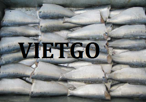 Cơ hội giao thương – Đơn hàng thường xuyên – Cơ hội xuất khẩu cá mòi sang thị trường Malaysia