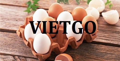 Cơ hội giao thương – Cơ hội xuất khẩu Trứng gà sang thị trường Ả Rập.