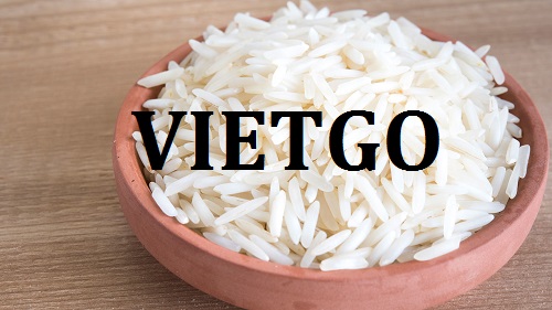 Cơ hội giao thương – Cơ hội xuất khẩu gạo sang thị trường Togo.