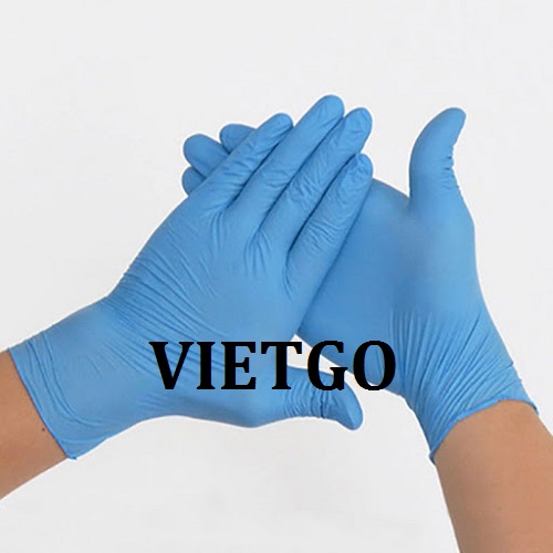 Cơ hội giao thương Đặc Biệt Thường Xuyên – Cơ hội xuất khẩu 1 container 40 feet Găng tay cho vị khách hàng quen thuộc của VIETGO