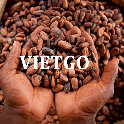 Cơ hội xuất khẩu Hạt Cacao sang thị trường Uzbekistan