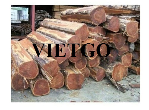 Cơ hội xuất khẩu gỗ teak sang thị trường Ấn Độ.