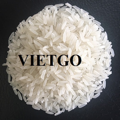 Cơ hội xuất khẩu 10 container gạo mỗi tháng sang thị trường châu Phi