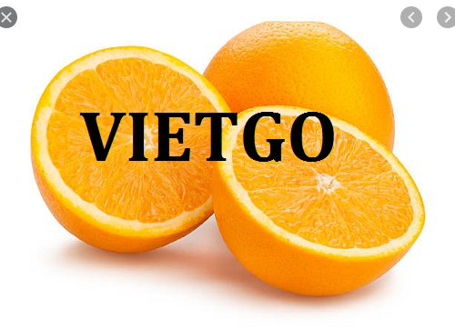 Cơ hội xuất khẩu cam Valencia cho một doanh nghiệp Bangladesh