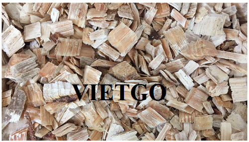 Cơ hội xuất khẩu 5000 tấn gỗ thông vụn hàng tháng sang thị trường Trung Quốc