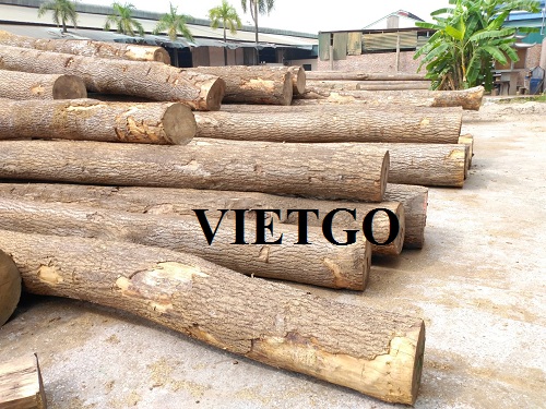 Cơ hội xuất khẩu 10.000m3 gỗ thông tròn sang thị trường Trung Quốc