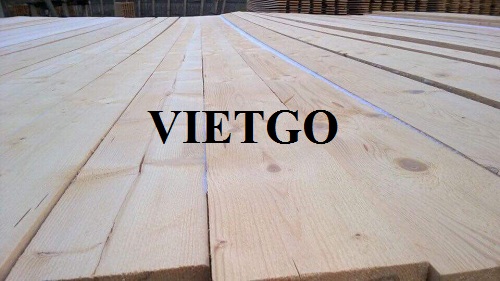 Cơ hội xuất khẩu 5 container 40ft gỗ thông xẻ hàng tháng sang thị trường Trung Quốc