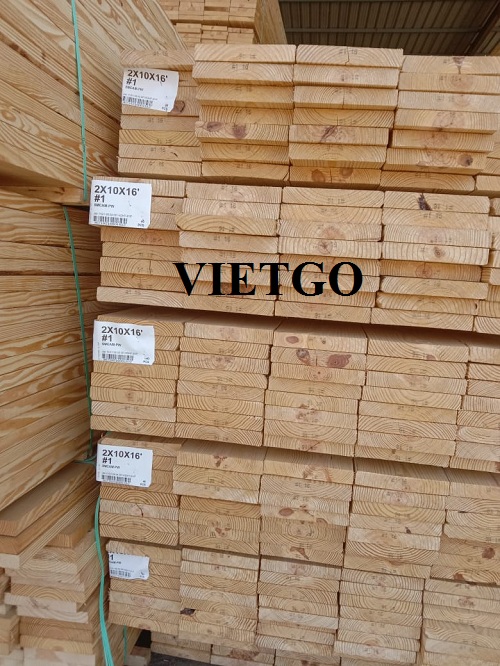 Cơ hội xuất khẩu 5 container 20ft gỗ thông xẻ sang thị trường Ấn Độ