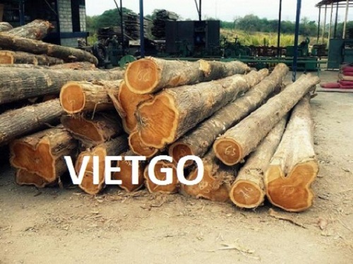 Cơ hội xuất khẩu 100m3 gỗ teak tròn hàng tháng sang thị trường Ấn Độ