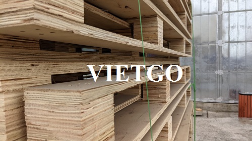 (Đơn hàng cả năm) Vị khách hàng Việt Nam muốn tìm đối tác cung cấp sản phẩm pallet ván ép gỗ keo