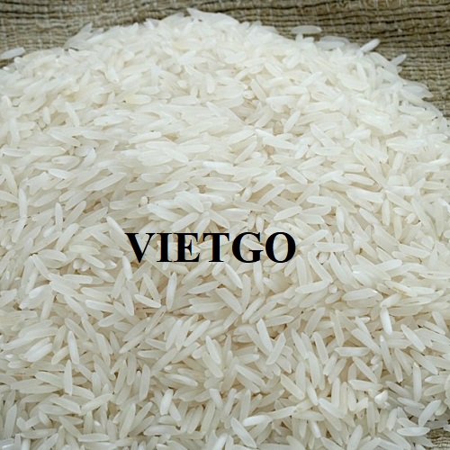 Cơ hội xuất khẩu Gạo sang thị trường Ấn Độ