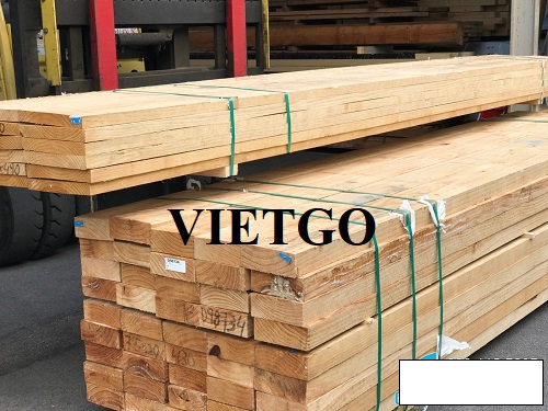 Cơ hội xuất khẩu 5 container 20ft gỗ thông xẻ hàng tháng sang thị trường Mỹ