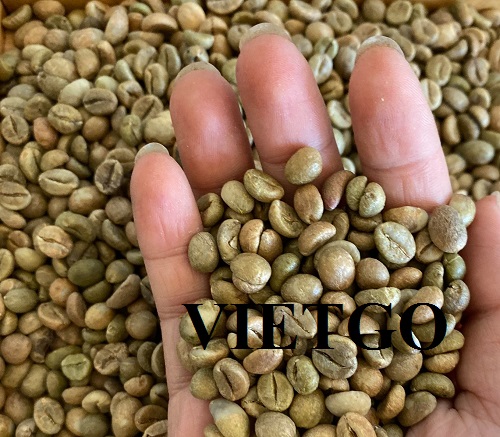Cơ hội xuất khẩu cà phê hạt sang thị trường Ấn Độ