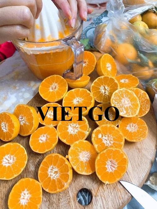 Cơ hội xuất khẩu cam ngọt sang thị trường Philippines