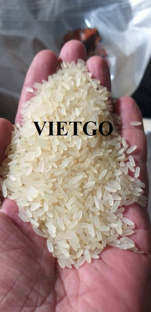 Cơ hội xuất khẩu Gạo sang thị trường Togo
