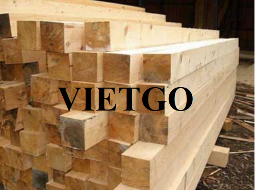 Cơ hội xuất khẩu thường xuyên gỗ thông xẻ sang thị trường Đức