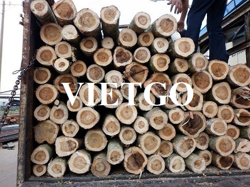 Cơ hội xuất khẩu gỗ keo xẻ và tròn sang thị trường Trung Quốc