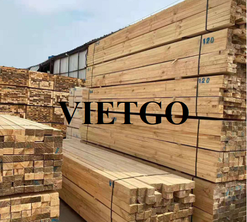 Cơ hội xuất khẩu gỗ thông xẻ hàng tháng sang thị trường Úc