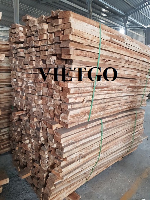 Cơ hội xuất khẩu 10 container 20ft gỗ xẻ hàng tháng sang thị trường Ai Cập