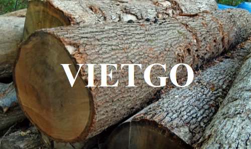 Thương vụ xuất khẩu số lượng lớn gỗ sồi tròn sang thị trường Ý